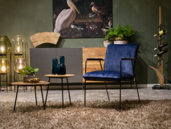 velvet eetkamerstoel