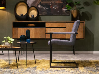 eetkamerstoel met armleuningen blauw