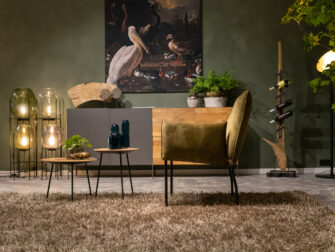 comfortabele eetkamerstoel