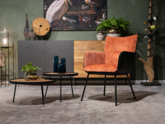 eetkamerstoel twee kleuren