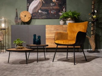 eetstoel twee kleuren