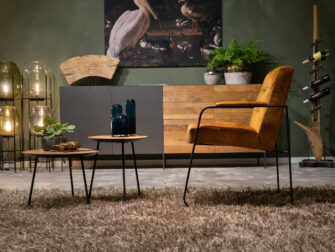 velours eetkamerstoel