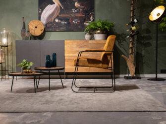 eetstoel met rank frame