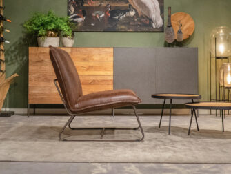 bruine anderhalfzits