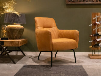 Stijlvolle fauteuil in leer