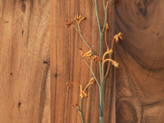 Fontenay serie detail (3)