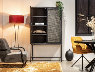 stijlvolle gesloten kast van mangohout