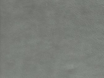 Geschuurd leer - kleur turtle