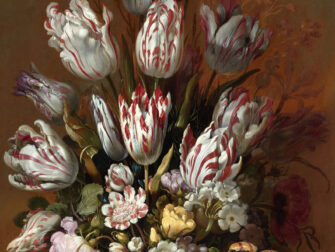 dutch_masters_002_dbw_11870_188_1