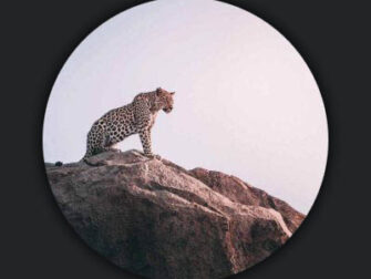 lan-wildlife-013-pmr_3