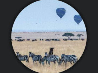 lan-wildlife-014-pmr_3