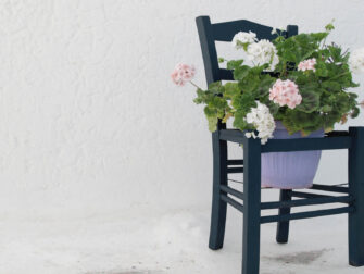 lan_botanical_stories_002_dbw_14898_188