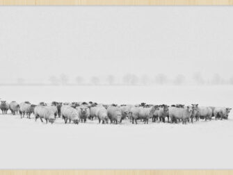 lan_winter_wonders_002_frxb_11870_188