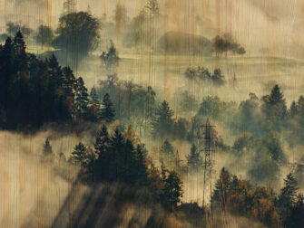 lan_winter_wonders_003_houtd_11870_188