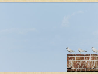 sca-summer-time-009-191-118x70-frx-frbl-mfotw