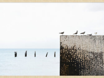 sca-summer-time-010-191-118x70-frx-frbl-mfotw