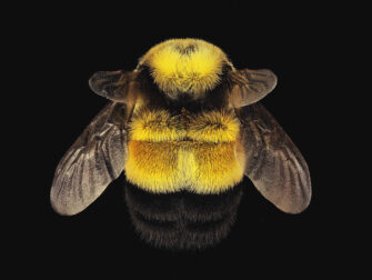 sca_wonderful_life_001_dbw_11870_188_1