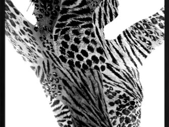 stl-essamba-002-70x118-frx-frzw-mfotw