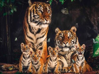 stl-posterjunkie-001-118x70-gls-moz