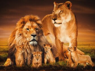 stl-posterjunkie-002-118x70-gls-moz_neu