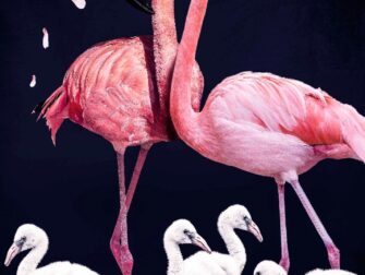 stl-posterjunkie-004-70x118-dbw-mko