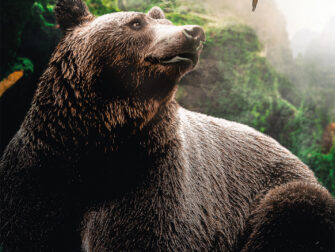 drukbestanden_fileserver_API.indd