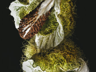 stl_wonderful_life_001_gls_11870_188_