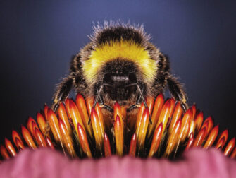 stl_wonderful_life_003_rvs_11870_188__1