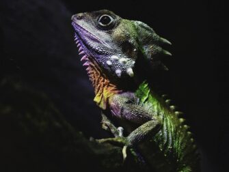 stl_wonderful_life_004_rvs_11870_188__2