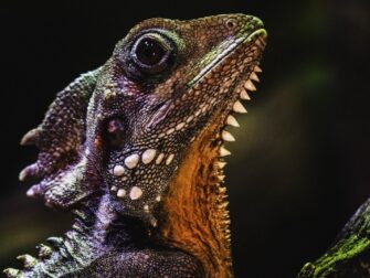 stl_wonderful_life_005_rvs_11870_188__2