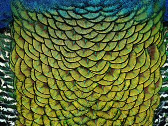 stl_wonderful_life_006_rvs_11870_188__2