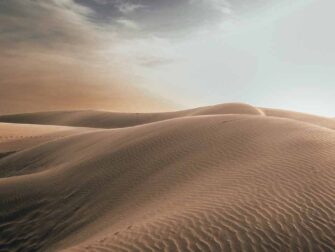 urb-art-of-nature-025-118x70-dbw-mko_1