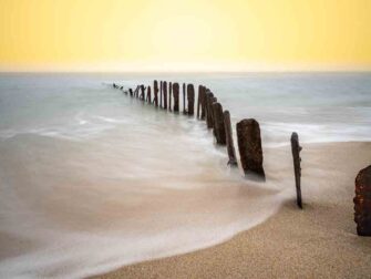 urb-art-of-nature-040-118x70-dbw-mko