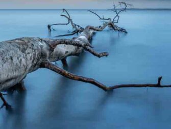 urb-art-of-nature-041-48x98-dbw-mko