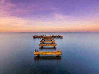 urb-art-of-nature-043-118x70-gls-moz_mfilter