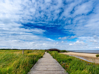 urb-art-of-nature-044-118x70-dbw-mko