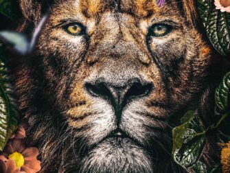 urb-posterjunkie-005-70x118-gls-moz