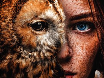 urb-posterjunkie-006-70x118-rvs-mko