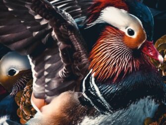 urb-posterjunkie-011-70x118-rvs-mko