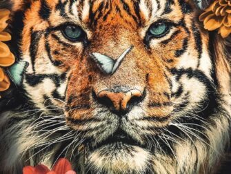 urb-posterjunkie-014-70x118-rvs-mko_2