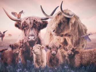 urb-posterjunkie-015-118x70-gls-moz