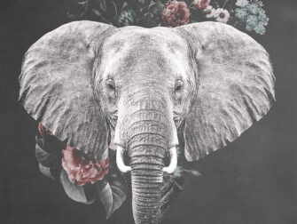 drukbestanden_fileserver_API_SQUARE.indd