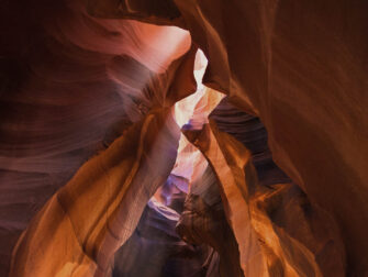 urb_art_of_nature__001_dbw_11870_188