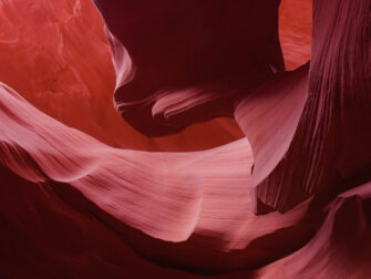 urb_art_of_nature__002_dbw_11870_188