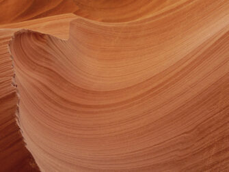 urb_art_of_nature__004_dbw_11870_188_1