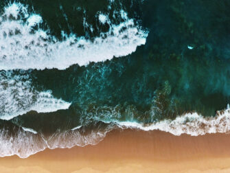 urb_art_of_nature__006_dbw_11870_188