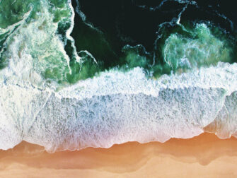 urb_art_of_nature__007_dbw_11870_188