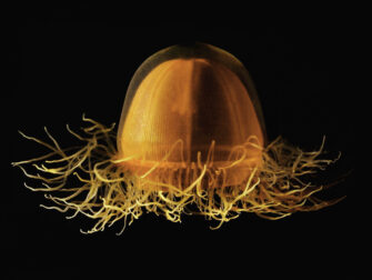 urb_wonderful_life_0004_rvs_11870_188_1