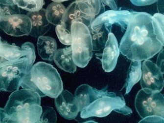 urb_wonderful_life_003_rvs_11870_188_1