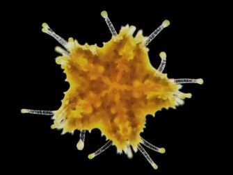 urb_wonderful_life_005_rvs_7474_188_2